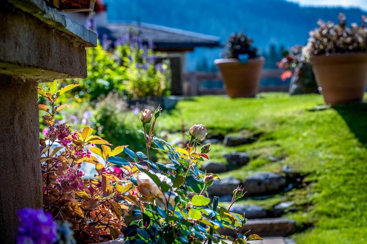 Gaestehaus Schoenberg Leutasch Dış mekan fotoğraf